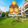 Golden Aura - Reusable Balloon Cluster and Yard Sign Marketing Bundle