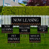 Neon Harvest- Banner and Yard Sign Marketing Bundle
