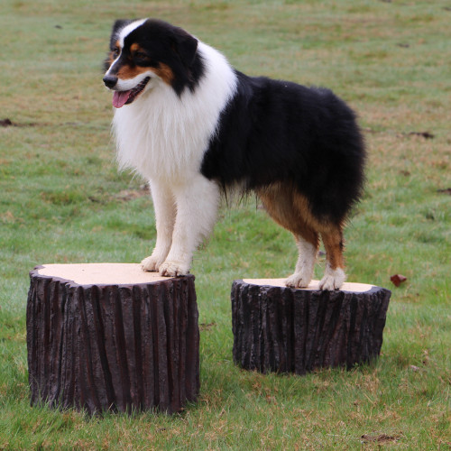 NatureDog™ Little Stump Jump