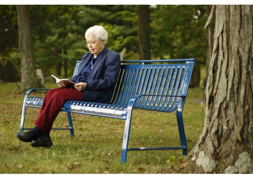 Oxford Bench with Back Oxford Bench with Back