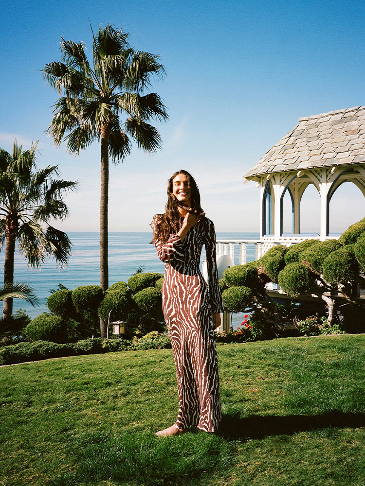 The Gia in Animal | Long Sleeve Silk Zebra Maxi Dress