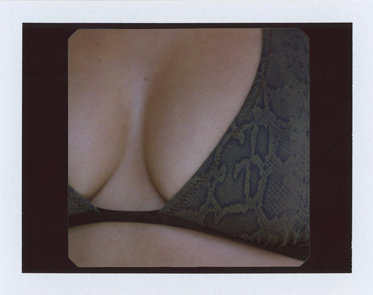 The Frank Top - Python/Animal, model shot