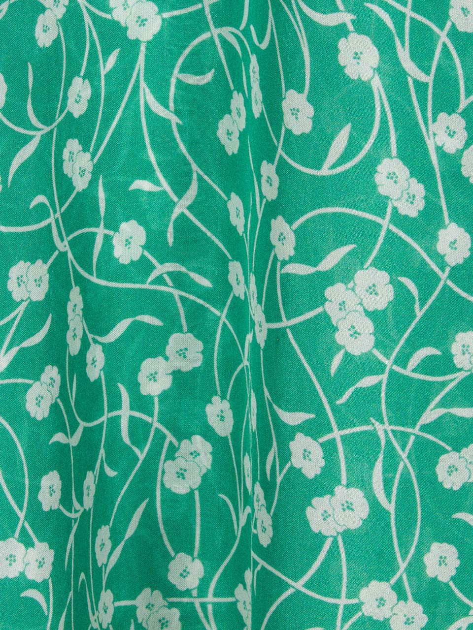 The Ozzie - Poison Ivy