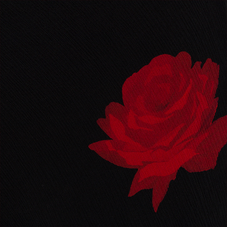 COMING SOON<br>The Celeste - Raven