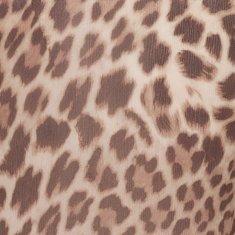 COMING SOON<br>The Bianca - Wild