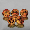 6.00 mm 5 pcs Round Top Champagne Imperial Topaz Natural {Flawless-VVS1}
