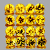 2.20 mm 16 pcs Round Brilliant Machine Cut AAA Golden Yellow Sapphire Natural {Flawless-VVS1)