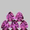 3.50 mm 5 pcs Trillion AAA Fire Natural Mozambique Violet Pink Sapphire {Flawless-VVS}