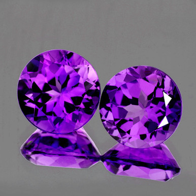 BRIESTA Gradation purple　ブリエスタ BRIESTA Gradation purple – Black Label
