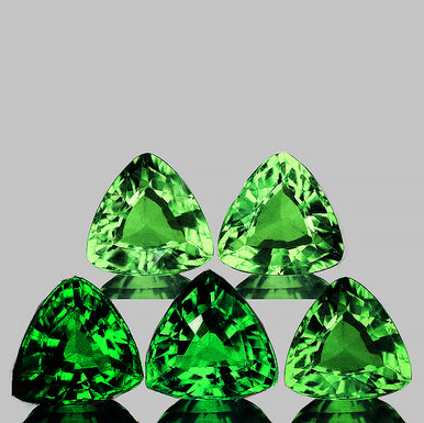 邦楽 Gschmitt alternative garnet 邦楽 Gschmitt alternative garnet 邦楽 Gschmitt alternative garnet