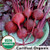 Bulls Blood Beet Organic Bulls Blood Beet Organic