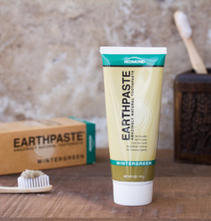 Natural Toothpaste - Earthpaste Wintergreen | Amish Country Store