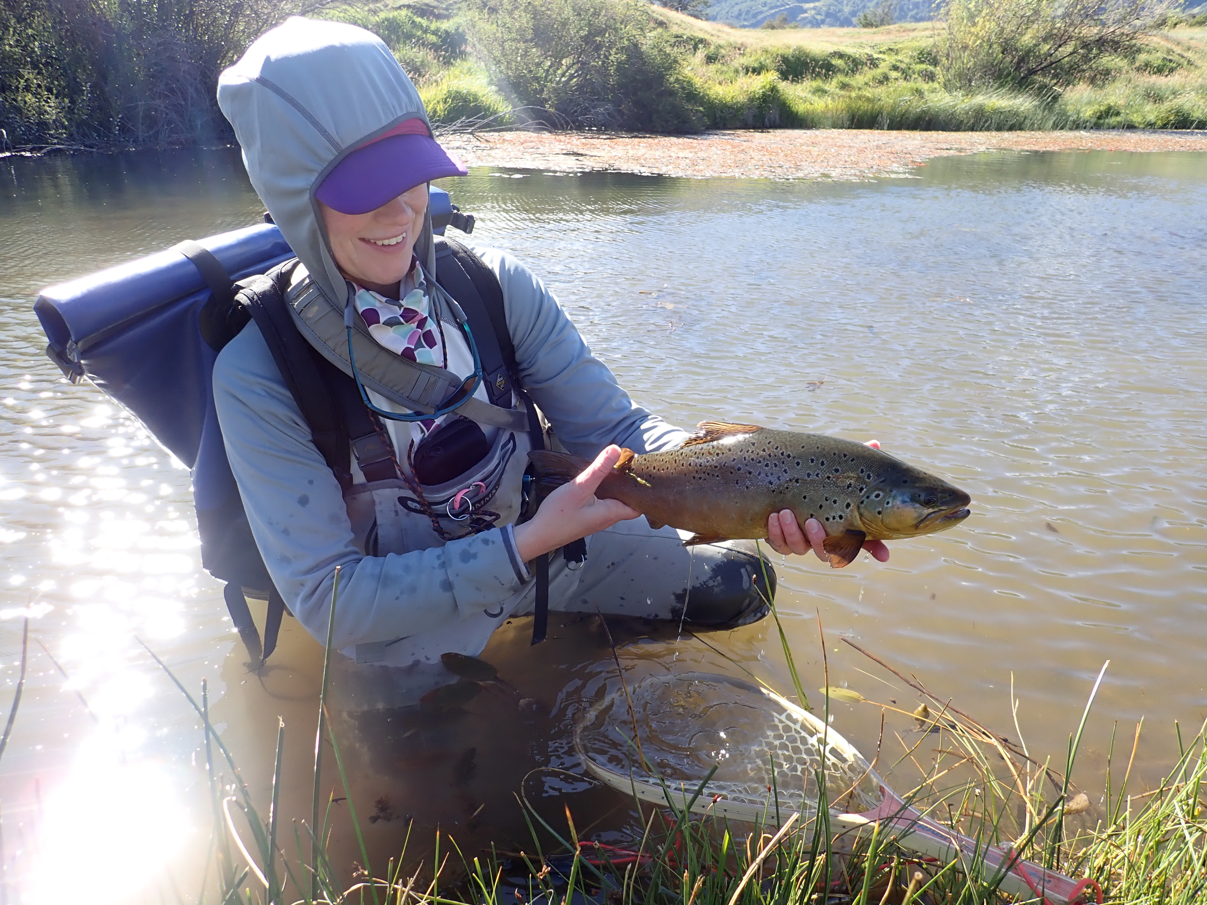 Montana in the Summer, Patagonia Chile in the Winter - Damsel Fly