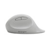 Kensington K75405WW mouse 105814