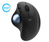 Logitech Ergo M575 mouse Right-hand RF Wireless+Bluetooth Trackball 2000 DPI 111075