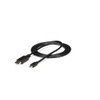 Startech.Com 10 Ft Mini Displayport To Displayport 1.2 Adapter Cable M/M - Displayport 4K Mdp2Dpmm10