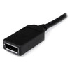 StarTech.com 8in LFH 59 Male to Dual Female DisplayPort DMS 59 Cable DMSDPDP1