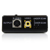 StarTech.com High Resolution VGA to Composite (RCA) or S-Video Converter - PC to TV VGA2VID