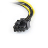 StarTech.com 6in LP4 to 8 Pin PCI Express Video Card Power Cable Adapter LP4PCIEX8ADP
