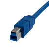 Startech.Com 6 Ft Superspeed Usb 3.0 Cable A To B - M/M Usb3Sab6