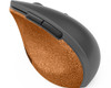 Lenovo Wireless Vertical Mouse 4Y51C33792 195477831605