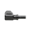 Tripp Lite P019-008-C15RA power cable Black 2.5 m NEMA 5-15P IEC 320 037332202413 P019-008-C15RA