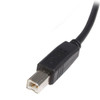 Startech.Com 1 Ft Usb 2.0 A To B Cable - M/M 065030818537 Usb2Hab1