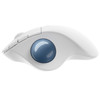 Logitech ERGO M575 mouse Right-hand RF Wireless+Bluetooth Trackball 2000 DPI 097855160645 910-005868