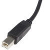 Startech 6 ft USB 2.0 Certified A to B Cable - M M Retail