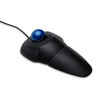 Kensington Orbit Trackball mouse Ambidextrous USB Type-A 38400