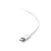 C2G 10ft (3m) USB-A Male to Lightning Male Sync and Charging Cable - White C2G29907 757120299073