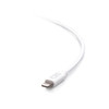 C2G 3ft (0.9m) USB-A Male to Lightning Male Sync and Charging Cable - White C2G29905 757120299059