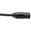 Tripp-Lite Cable P004-006-13A 6ft C14 Male to C13 Female Power Cable Black