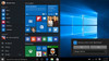 Microsoft Software FQC-09525 OL Windows 10 Pro Single Upgrade