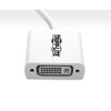 Tripp Lite U444-06N-DVI-AM USB-C to DVI Adapter with Alternate Mode - DP 1.2, White U444-06N-DVI-AM 037332189332