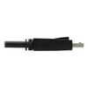 Tripp Lite P785-DPKIT06 DisplayPort KVM Cable Kit for B005-DPUA2-K and B005-DPUA4 KVM, 4K DP, USB 3.2, 3.5 mm, 6 ft. (1.83 m) P785-DPKIT06 037332257024