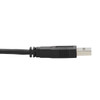 Tripp Lite DisplayPort KVM Cable Kit - DP, USB, 3.5 mm Audio (3xM/3xM) + USB (M/M), 4K, 4:4:4, 6 ft. (1.83 m), Black P783-006-U 037332241658