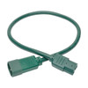 Tripp Lite P018-002-AGN Power Cord C14 to C15 - Heavy-Duty, 15A, 250V, 14 AWG, 2 ft. (0.61 m), Green P018-002-AGN 037332199072