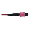 Tripp Lite N858B-30M-3X8MG 40/100/400G Multimode 50/125 OM4 Fiber Optic Cable (3x8F MTP/MPO-PC F/F), LSZH, Magenta, 30 m (98.4 ft.) N858B-30M-3X8MG 037332272980