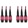 Tripp Lite N858B-15M-3X8MG 40/100/400G Multimode 50/125 OM4 Fiber Optic Cable (3x8F MTP/MPO-PC F/F), LSZH, Magenta, 15 m (49.2 ft.) N858B-15M-3X8MG 037332272966