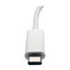 Tripp Lite U444-06N-VGU-C USB-C Multiport Adapter, VGA, USB-A Port, Gbe and PD Charging, White U444-06N-VGU-C 037332193728