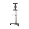 Tripp Lite DMCS3770SG75 Premier Rolling TV Cart for 37” to 70” Displays, Black Glass Base and Shelf, Locking Casters DMCS3770SG75 037332275486