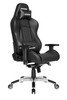 AKRacing FT AK-PREMIUM-CB Premium Gaming Chair - Carbon Black Retail