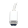 Tripp-Lite AC U444-06N-VGA-AM USB-C to VGA Adapter with Alternate Mode DP 1.2
