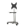 Tripp Lite DMCS3255SG62 Premier Rolling TV Cart for 32” to 55” Displays, Black Glass Base and Shelf, Locking Casters 037332275462