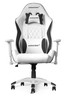 AKRacing FT AK-CALIFORNIA-LAGUNA California Gaming Chair - Laguna Retail