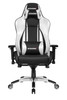 AKRacing FT AK-PREMIUM-SV Premium Gaming Chair - Silver Retail