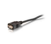 Cables to Go 25" USB A B M M CBL 38989