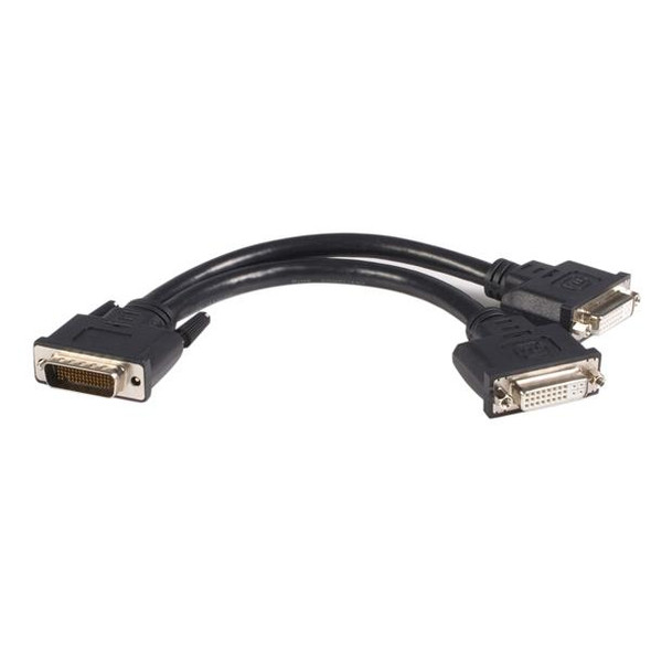 StarTech.com 8in LFH 59 Male to Dual Female DVI I DMS 59 Cable DMSDVIDVI1