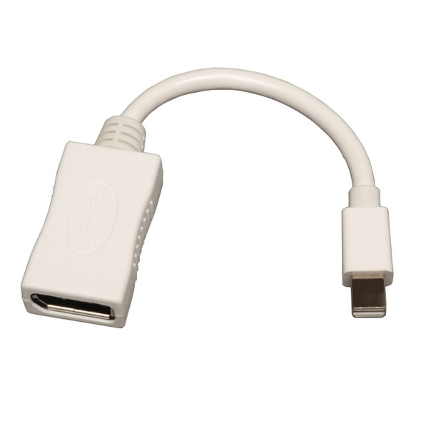 Tripp Lite Keyspan Mini DisplayPort to DisplayPort Cable Adapter, Video Converter, 2560x1600 (M/F) P139-06N-DP